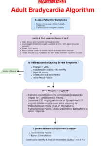Master ACLS Algorithms – Complete ACLS Review–Pass Your ACLS Course ...