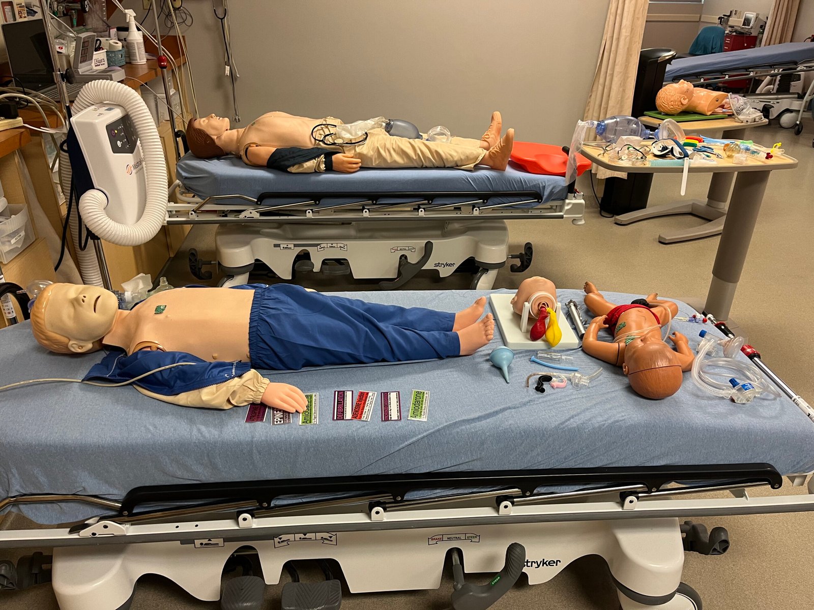Initial Assessment in Advanced Cardiovascular Life Support (ACLS): A ...